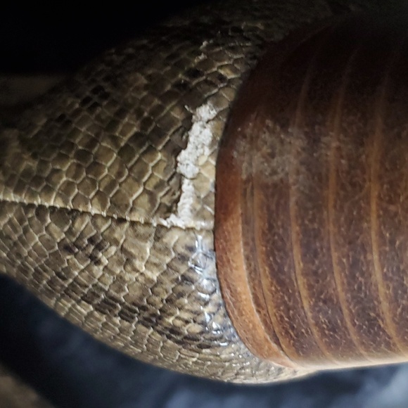 Gorgeous Raye Vegan Snakeskin 👢 Boots - Picture 6 of 12